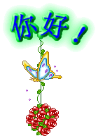 QQ飬кQQ飬ʺõQQ